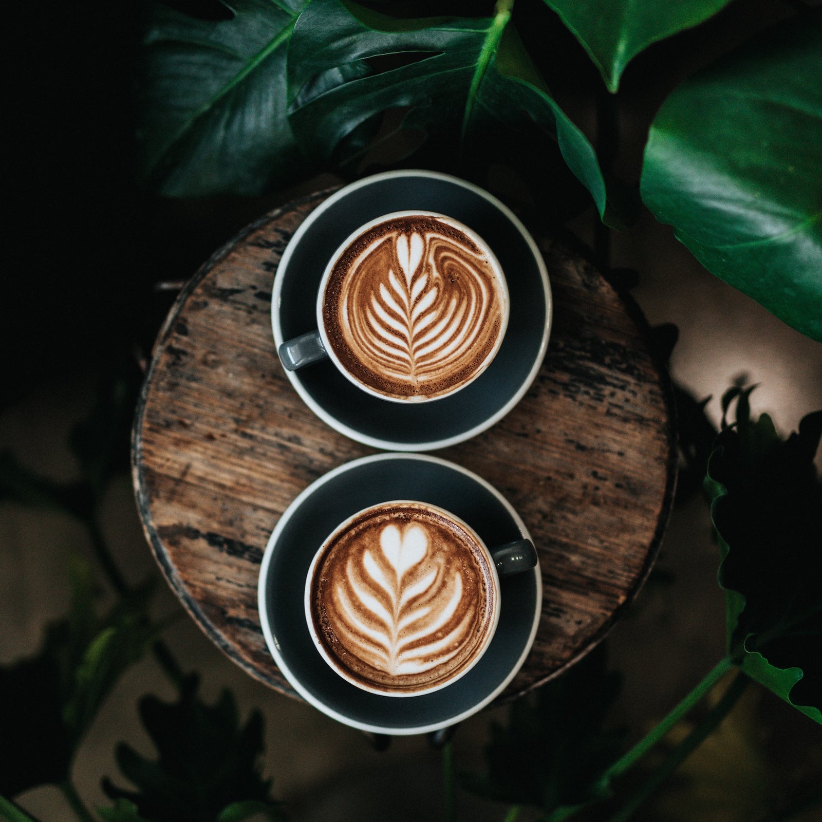 The Coffee Collection