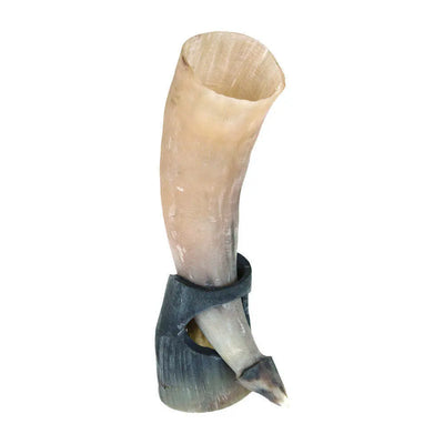 African Horn Traditional Beer Cup  Bar Tools | Buy from Asteria One
