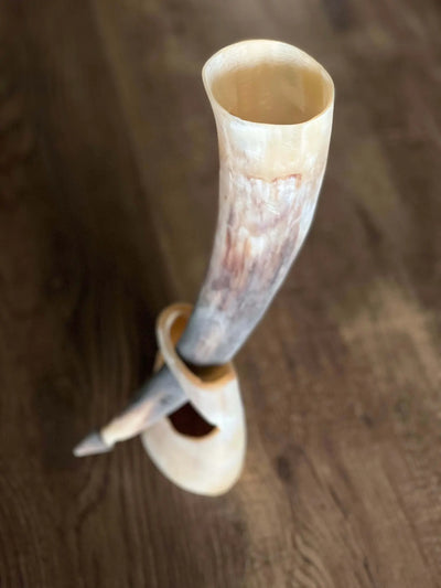 African Horn Traditional Beer Cup  Bar Tools | Buy from Asteria One