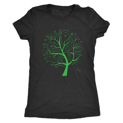 Math formulae tree - Triblend T-Shirt Next Level Womens Triblend / Vintage Black / S T-shirt | Buy from Asteria One