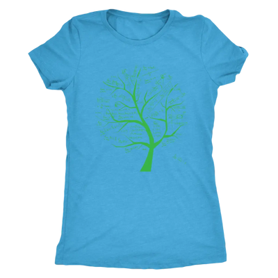 Math formulae tree - Triblend T-Shirt Next Level Womens Triblend / Vintage Turquoise / S T-shirt | Buy from Asteria One