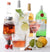 Tastemaker Craft Mixologist liquor/wine infuser