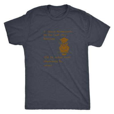 I leave homework to the last day because I will be older therefore be wiser - Triblend T-Shirt