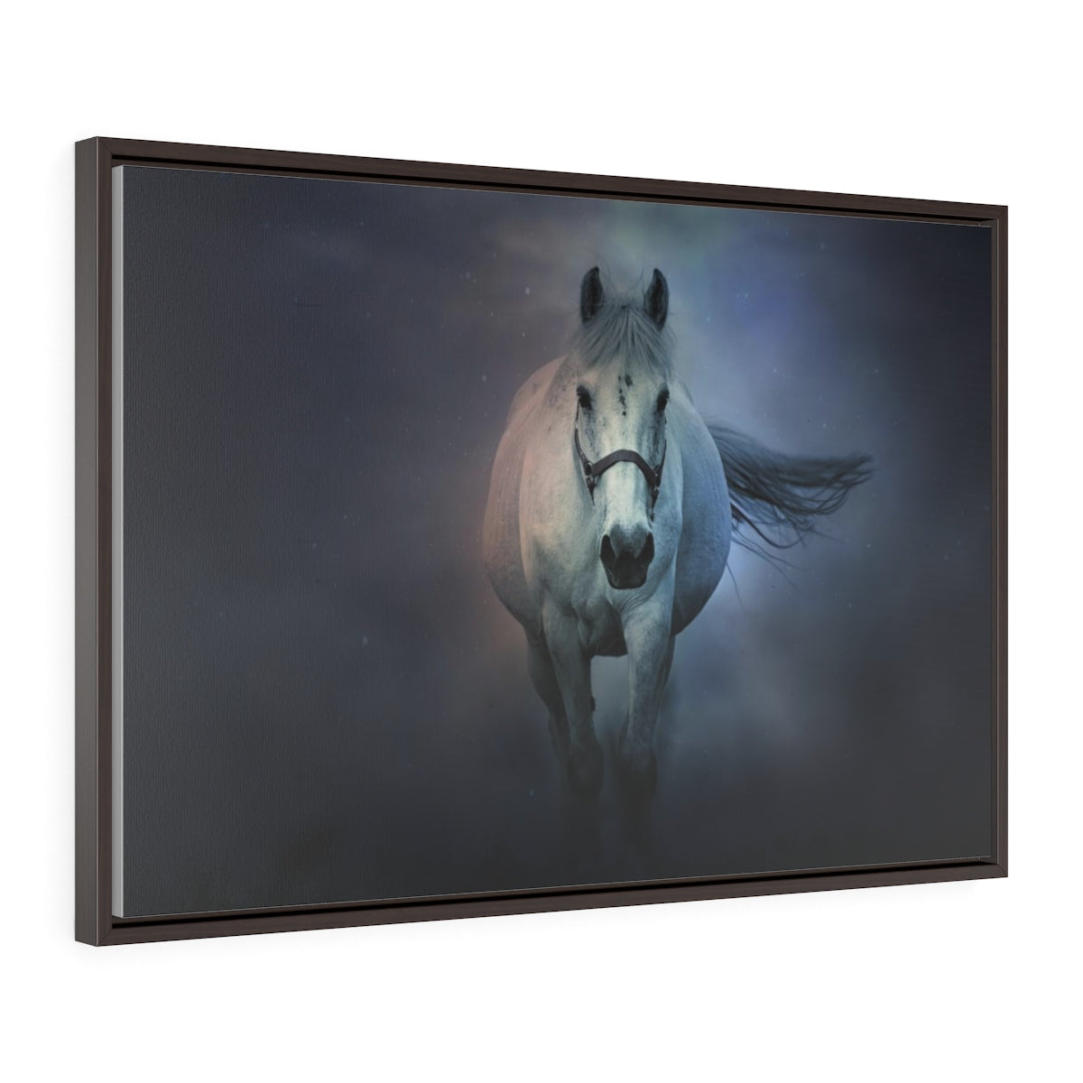 A Lone horse - Horizontal Framed Premium Gallery Wrap Canvas