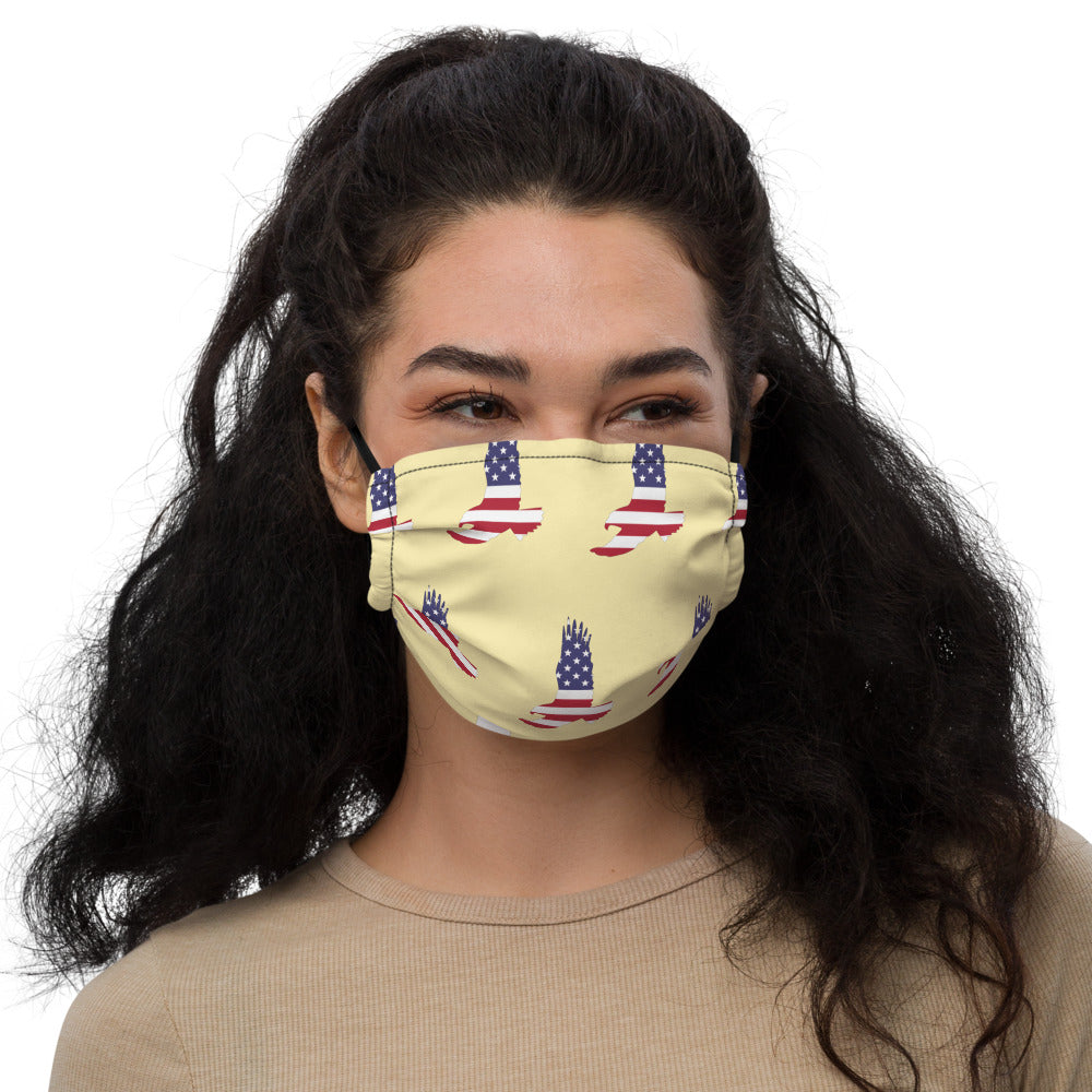 American Flag Pattern Bald Eagle Premium face mask