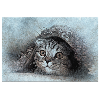 Peekaboo Cat - Rectangle Gallery Canvas art