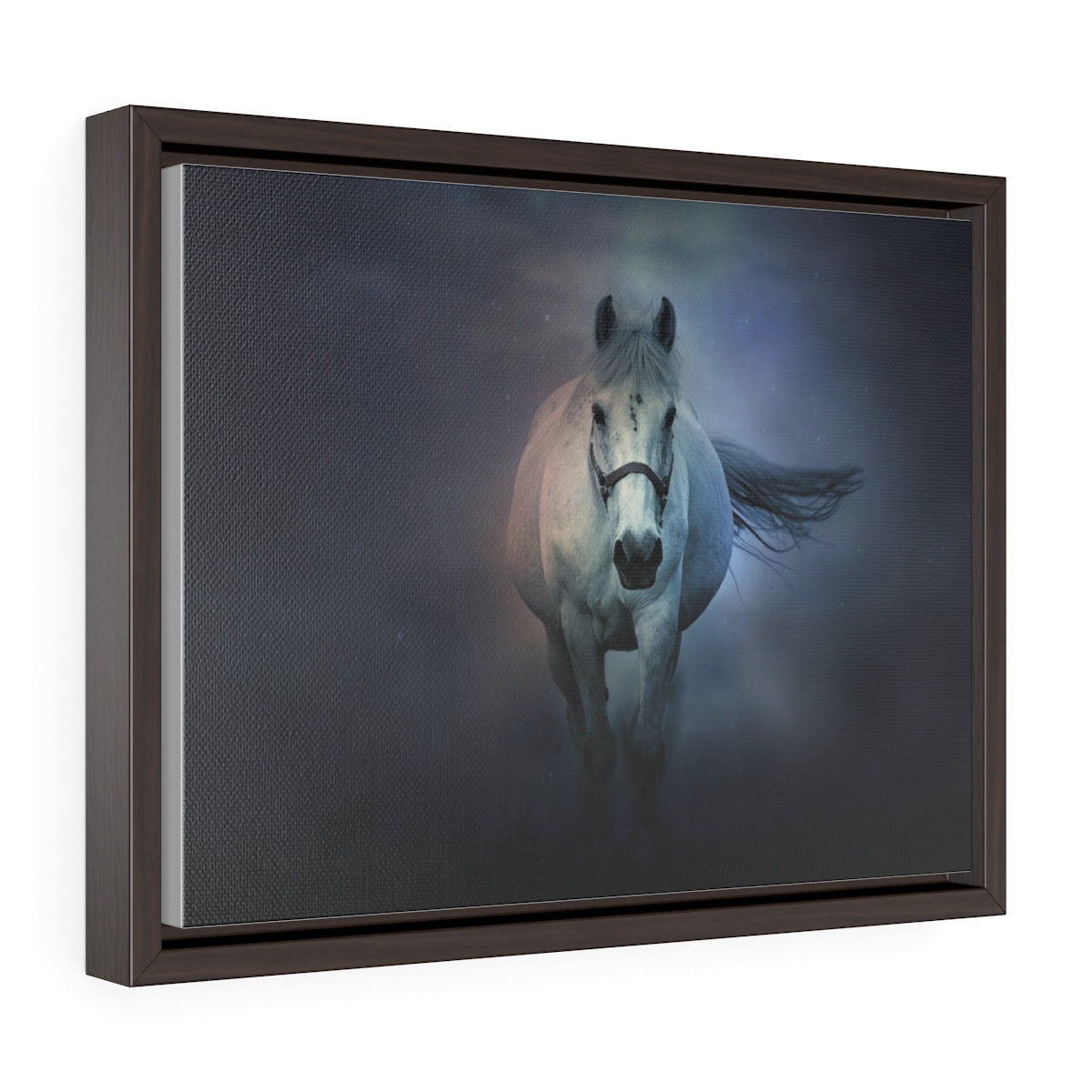A Lone horse - Horizontal Framed Premium Gallery Wrap Canvas
