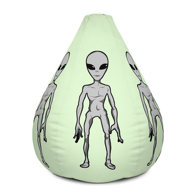The dude from the next door galaxy Bean Bag Chair w/ filling