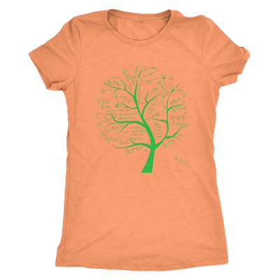 Math formulae tree - Triblend T-Shirt